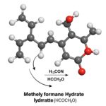 Understanding the Role of HCOOCH₂H₂O in Formate Ester Chemistry