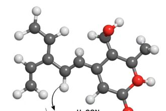 Understanding the Role of HCOOCH₂H₂O in Formate Ester Chemistry
