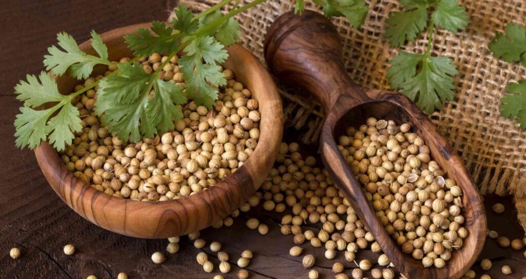 The Power of Koriandri: From Culinary Uses to Health Benefits