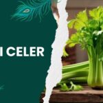 The Power of Pravi Celer: Health, Flavor, and Tradition