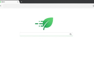 Leaf Browser: A Lightweight Way to Explore the Web